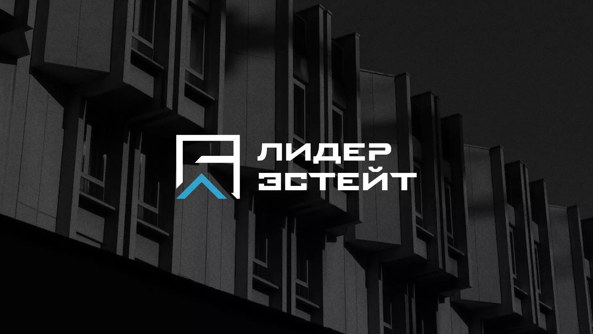 Разработка логотипа агентства недвижимости «Лидер Эстейт» в Нижних Сергах